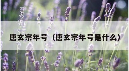 唐玄宗年号（唐玄宗年号是什么）