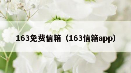 163免费信箱（163信箱app）