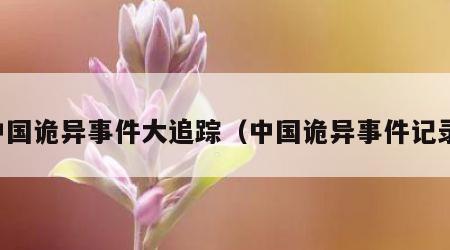 中国诡异事件大追踪（中国诡异事件记录）