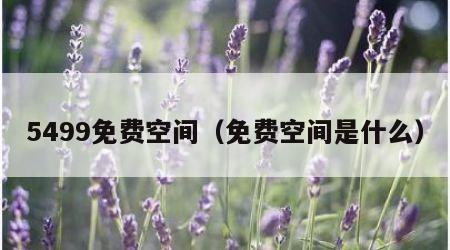 5499免费空间（免费空间是什么）