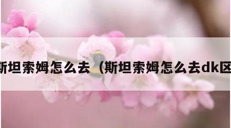 斯坦索姆怎么去（斯坦索姆怎么去dk区）