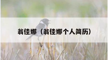 翁佳娜（翁佳娜个人简历）