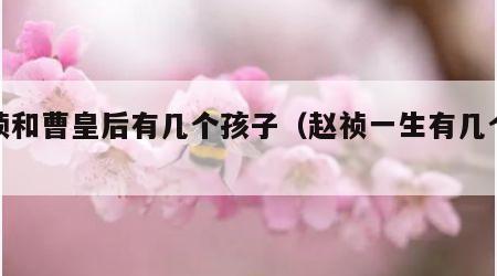 赵祯和曹皇后有几个孩子（赵祯一生有几个孩子）