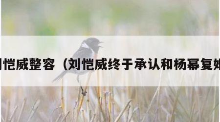 刘恺威整容（刘恺威终于承认和杨幂复婚）