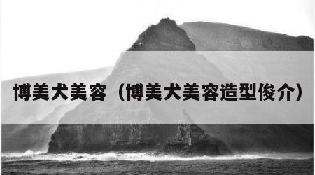 博美犬美容（博美犬美容造型俊介）