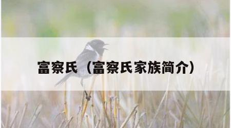 富察氏（富察氏家族简介）