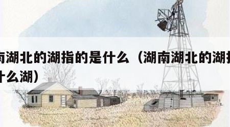 湖南湖北的湖指的是什么（湖南湖北的湖指的是什么湖）