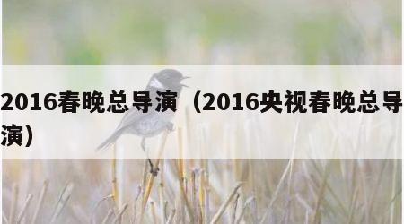 2016春晚总导演（2016央视春晚总导演）