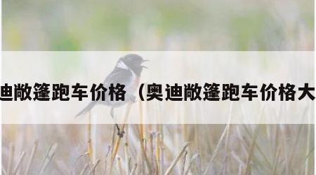 奥迪敞篷跑车价格（奥迪敞篷跑车价格大全）