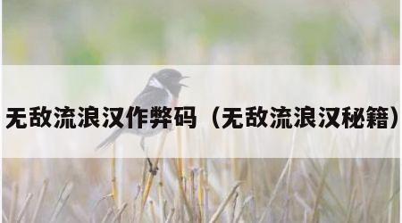 无敌流浪汉作弊码（无敌流浪汉秘籍）