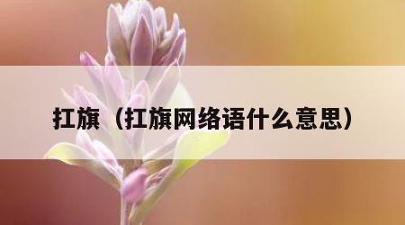 扛旗（扛旗网络语什么意思）