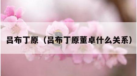 吕布丁原（吕布丁原董卓什么关系）