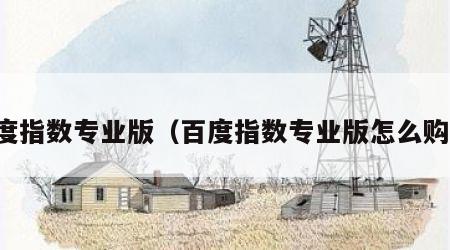 百度指数专业版（百度指数专业版怎么购买）
