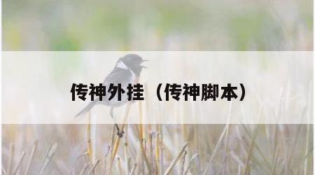 传神外挂（传神脚本）