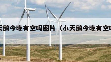 小天鹅今晚有空吗图片（小天鹅今晚有空吗视频）