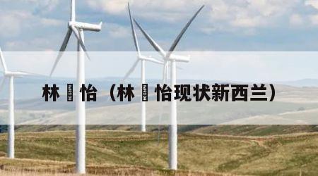 林姮怡（林姮怡现状新西兰）