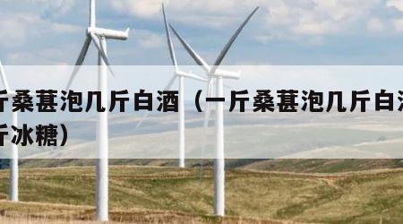 一斤桑葚泡几斤白酒（一斤桑葚泡几斤白酒加几斤冰糖）