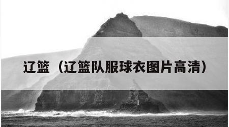 辽篮（辽篮队服球衣图片高清）