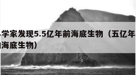 科学家发现5.5亿年前海底生物（五亿年前的海底生物）