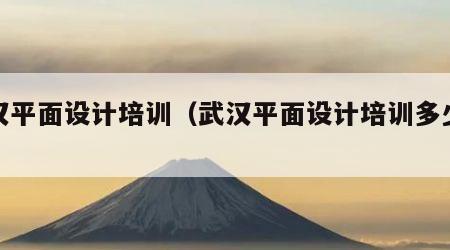 武汉平面设计培训（武汉平面设计培训多少钱）