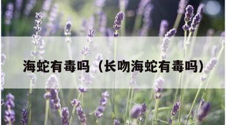 海蛇有毒吗（长吻海蛇有毒吗）