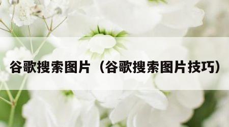 谷歌搜索图片（谷歌搜索图片技巧）