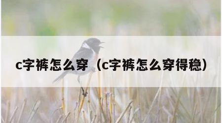 c字裤怎么穿（c字裤怎么穿得稳）