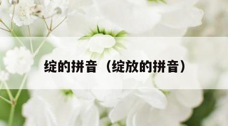 绽的拼音（绽放的拼音）