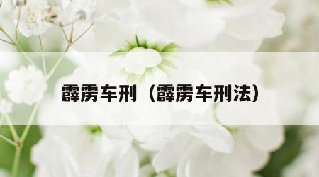 霹雳车刑（霹雳车刑法）