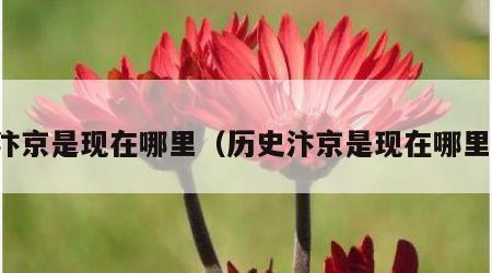 汴京是现在哪里（历史汴京是现在哪里）