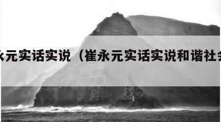 崔永元实话实说（崔永元实话实说和谐社会标准）