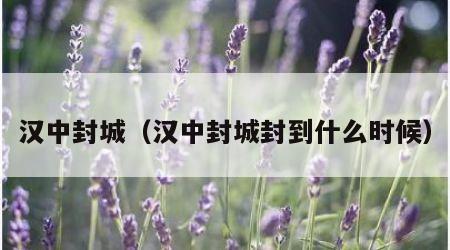 汉中封城（汉中封城封到什么时候）