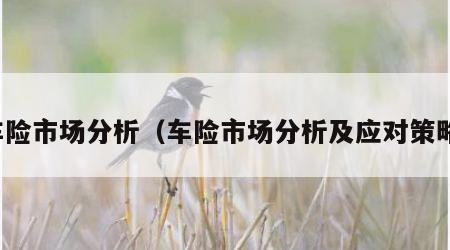 车险市场分析（车险市场分析及应对策略）