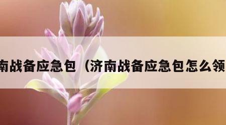 济南战备应急包（济南战备应急包怎么领取）