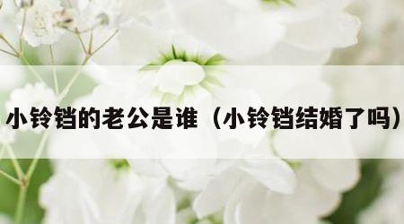 小铃铛的老公是谁（小铃铛结婚了吗）