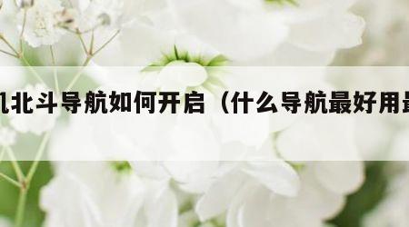 手机北斗导航如何开启（什么导航最好用最准确）
