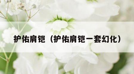 护佑肩铠（护佑肩铠一套幻化）