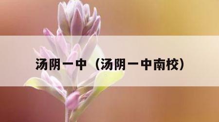 汤阴一中（汤阴一中南校）