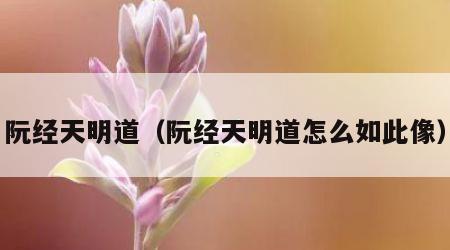 阮经天明道（阮经天明道怎么如此像）
