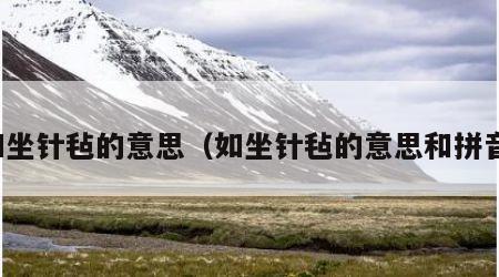如坐针毡的意思（如坐针毡的意思和拼音）