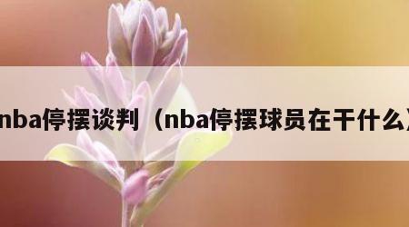 nba停摆谈判（nba停摆球员在干什么）