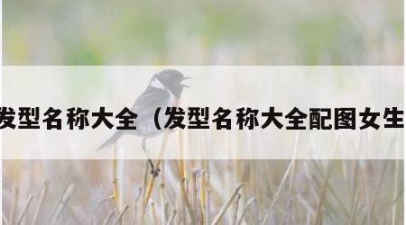 发型名称大全（发型名称大全配图女生）