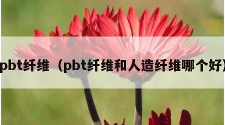 pbt纤维（pbt纤维和人造纤维哪个好）