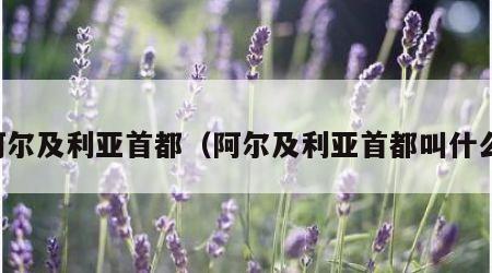 阿尔及利亚首都（阿尔及利亚首都叫什么）