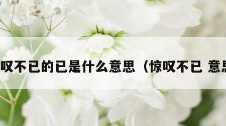 惊叹不已的已是什么意思（惊叹不已 意思）