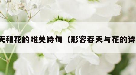 春天和花的唯美诗句（形容春天与花的诗句）