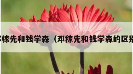 邓稼先和钱学森（邓稼先和钱学森的区别）