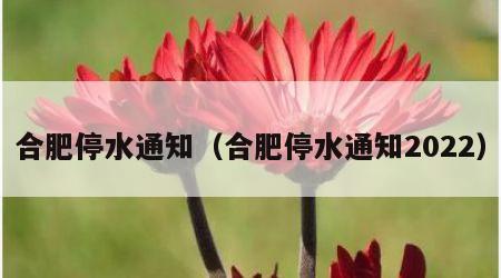 合肥停水通知（合肥停水通知2022）