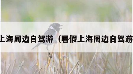 上海周边自驾游（暑假上海周边自驾游）