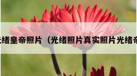 光绪皇帝照片（光绪照片真实照片光绪帝）